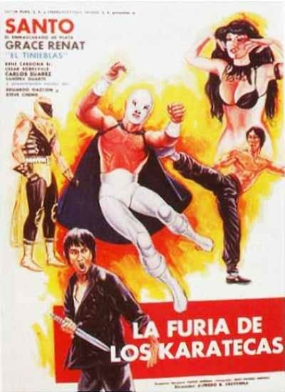 Постер фильма La furia de los karatecas