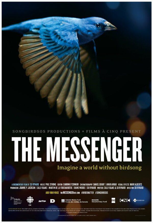 Постер фильма The Messenger