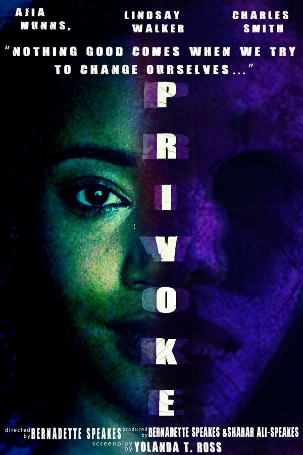 Постер фильма Privoke
