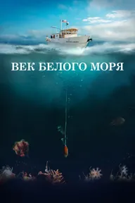 Век Белого моря