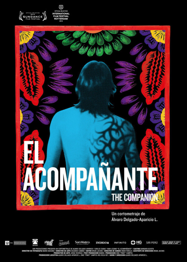 Постер фильма El acompañante
