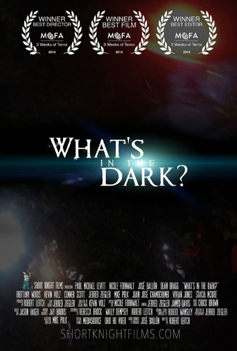 Постер фильма What's in the Dark?