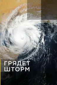 Грядет шторм