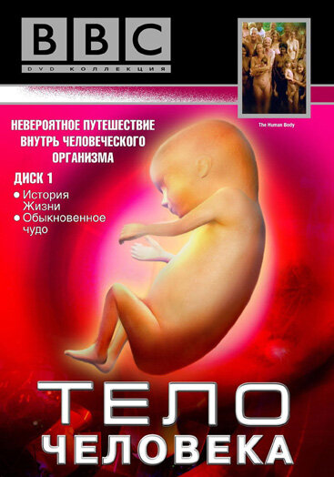 Постер сериала BBC: Тело человека