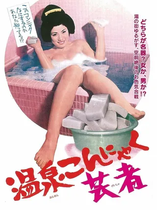 Постер Освобождение гейши (1970)
