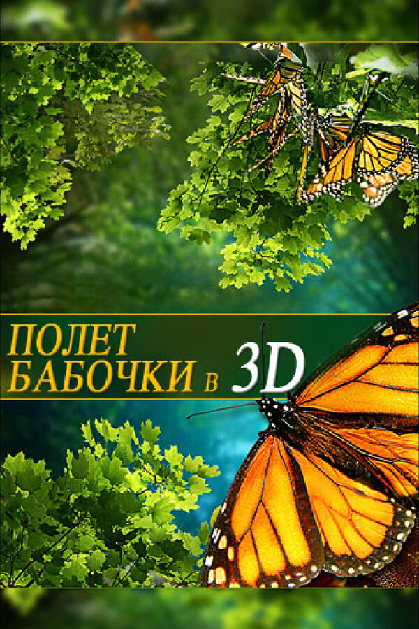 Постер фильма Полет бабочки 3D