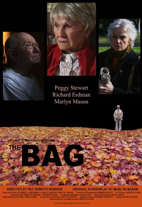 Постер фильма The Bag