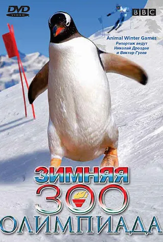 Постер BBC: Зимняя Зоо олимпиада (2006)