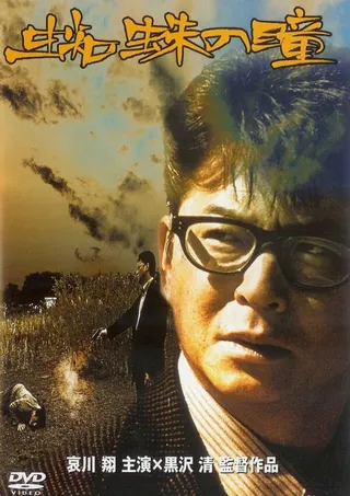 Постер Глаза паука (1998)