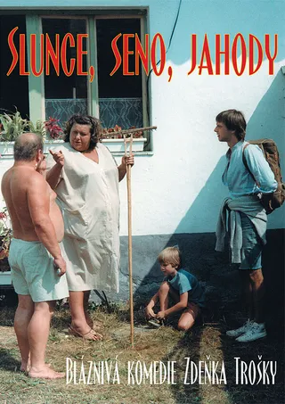 Постер Экспериментатор (1984)
