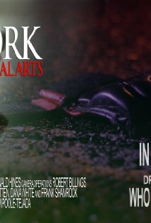 Постер фильма New York Mixed Martial Arts