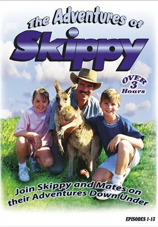 Постер Приключения Скиппи (1992)