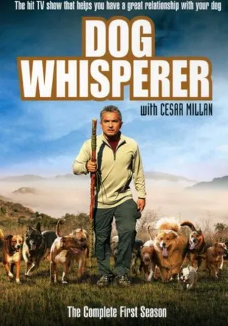 Постер Переводчик с собачьего (2004)