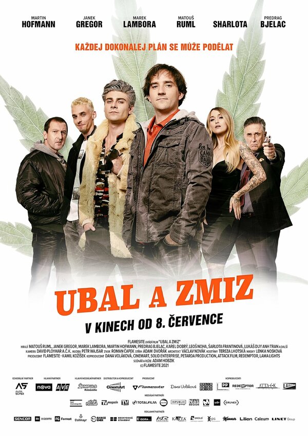 Постер фильма Ubal a zmiz
