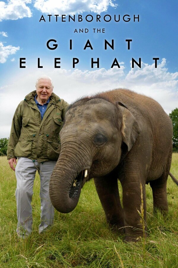 Постер фильма Аттенборо и гигантский слон