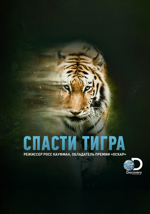Постер фильма Спасти тигра