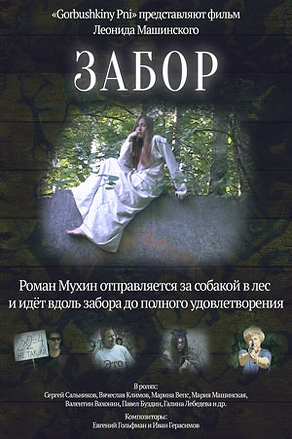 Постер фильма Забор