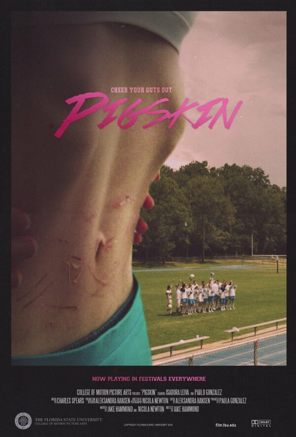 Постер фильма Pigskin