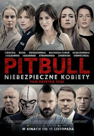 Постер Питбуль. Опасные женщины (2016)