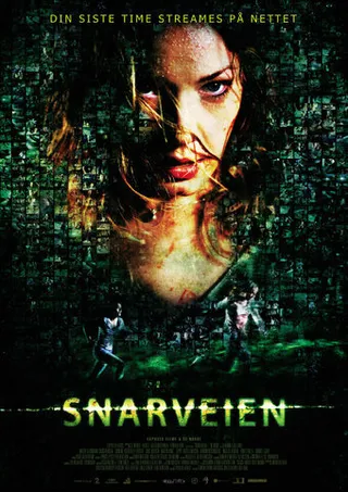 Постер Объезд (2009)