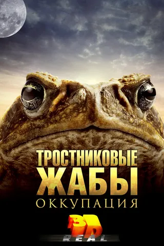 Постер Тростниковые жабы: Оккупация (2010)