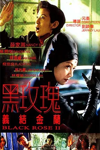 Постер Чёрная роза 2 (1997)