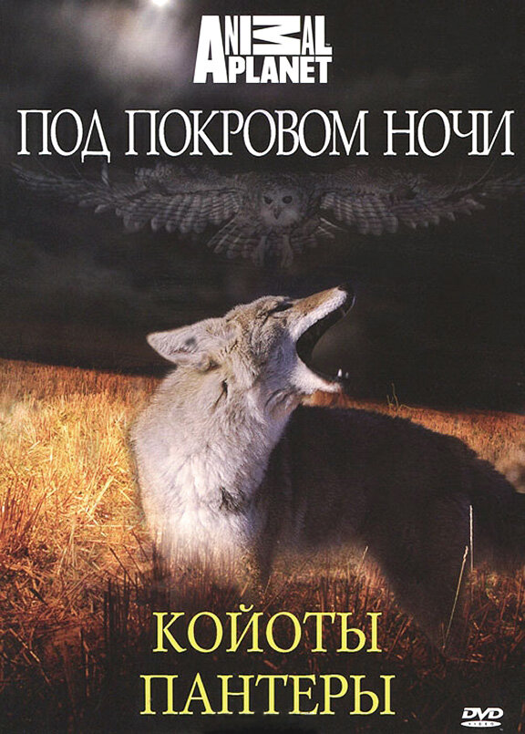 Постер сериала Под покровом ночи