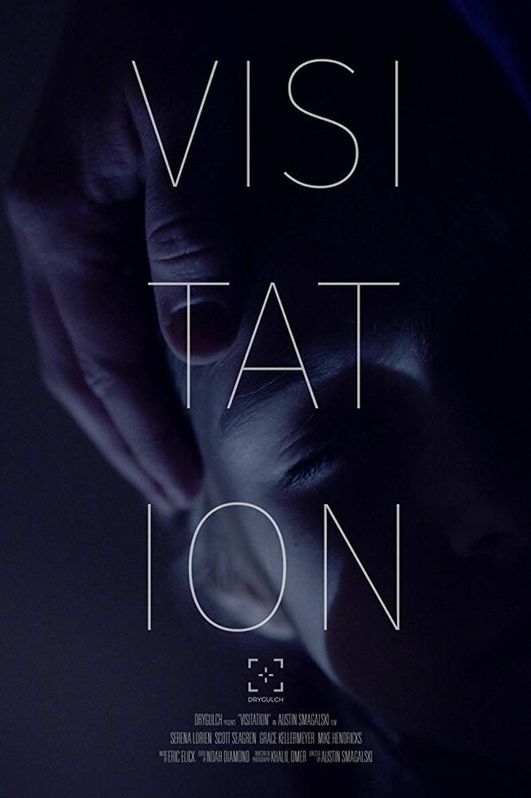 Постер фильма Visitation