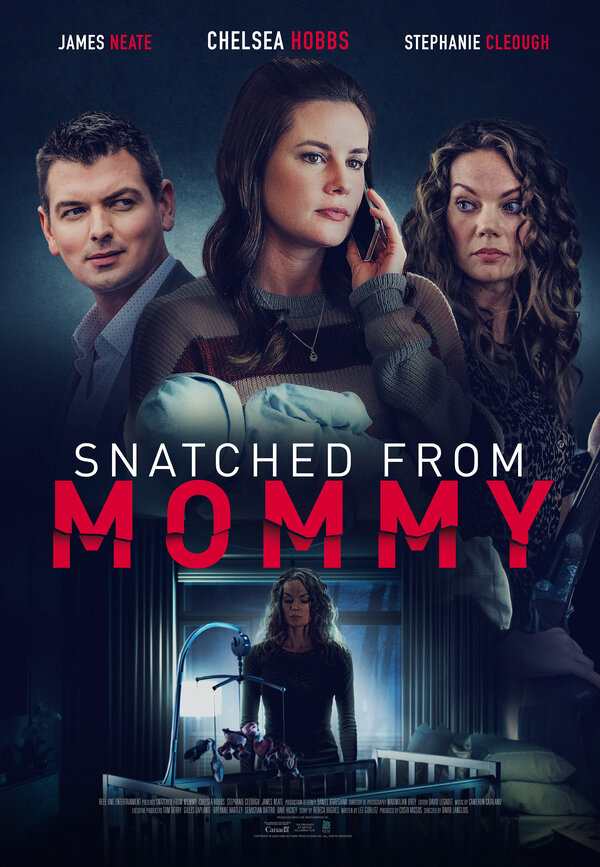 Постер фильма Snatched from Mommy