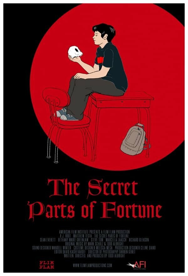 Постер фильма The Secret Parts of Fortune