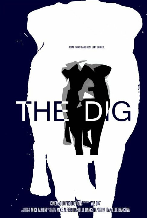 Постер фильма The Dig