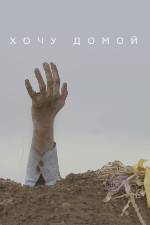 Постер фильма Хочу домой