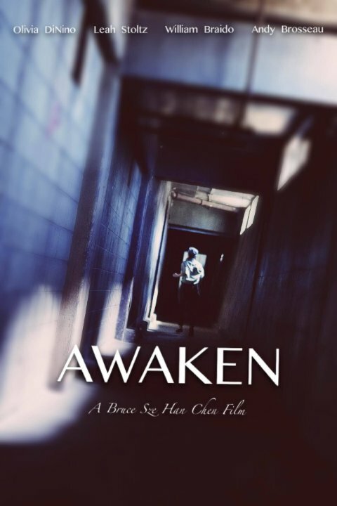 Постер фильма Awaken