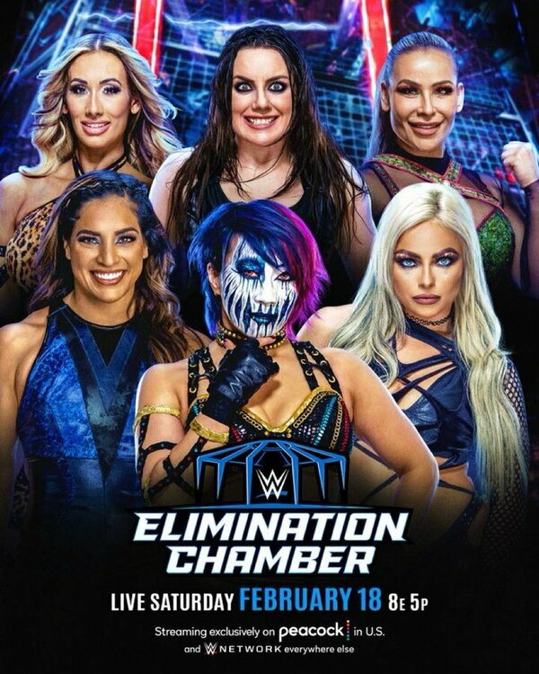 Постер фильма WWE Камера ликвидации