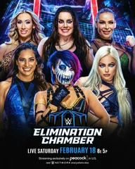 WWE Камера ликвидации