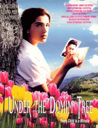 Постер Под тутовым деревом (1994)