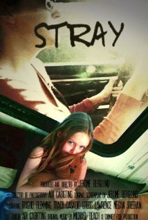 Постер фильма Stray