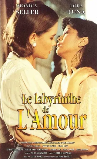 Постер Лабиринт любви (1994)