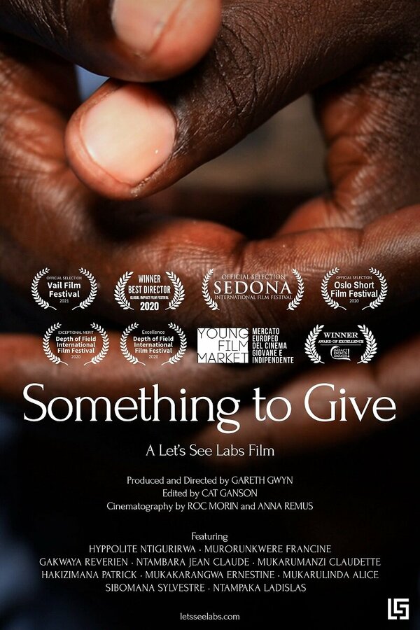Постер фильма Something to Give