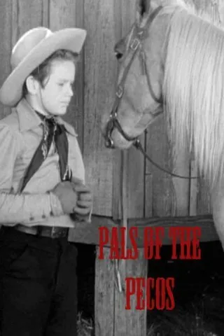 Постер Pals of the Pecos (1941)