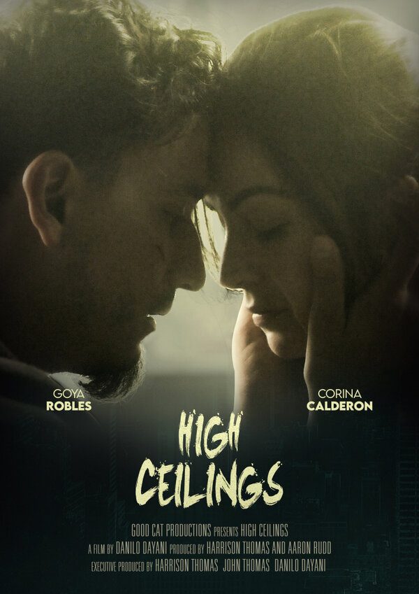 Постер фильма High Ceilings