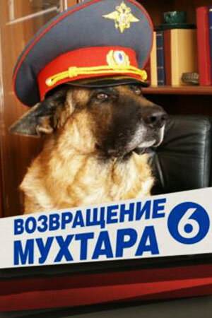 Постер Возвращение Мухтара 6 (2009)