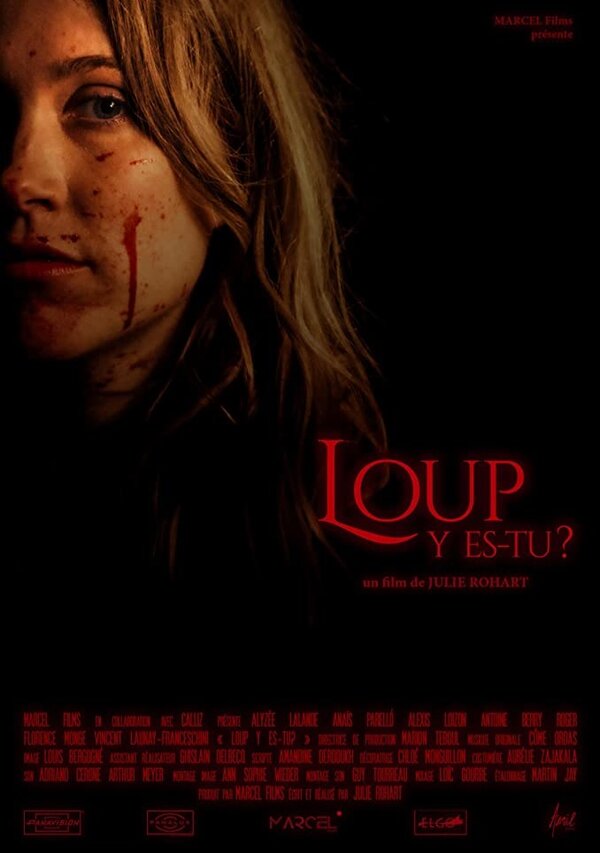 Постер фильма Loup y es-tu?