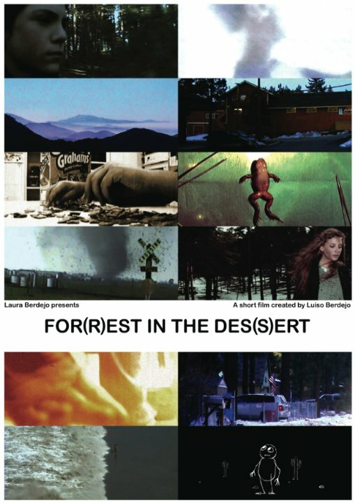 Постер фильма For(r)est in the Des(s)ert