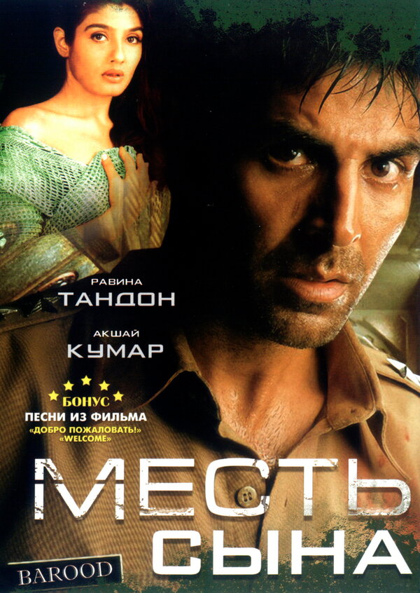 Постер фильма Месть сына
