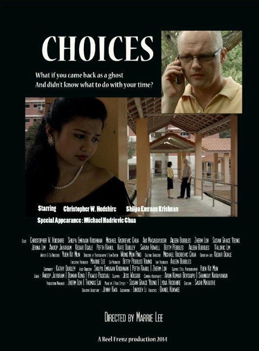 Постер фильма Choices