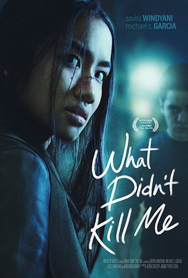 Постер фильма What Didn't Kill Me