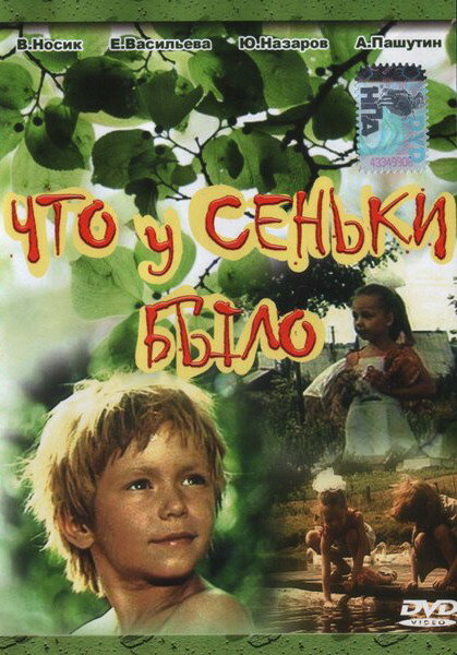 Постер фильма Что у Сеньки было