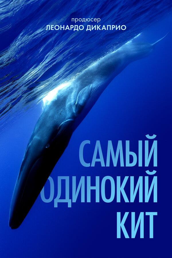 Постер фильма Самый одинокий кит