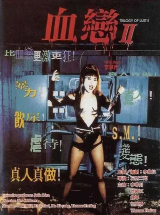 Постер Трилогия страсти 2 (1995)